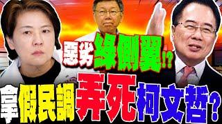 【全程字幕】黃珊珊背骨弄死柯文哲!?蔡正元轟"拿假民調.罷工威脅"害藍白破局 民眾黨恐撐不過2026?