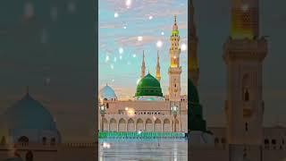 Noor Wala Aya Ha - Farhan Ali Qadri #islam #freepalestine #shorts#youtubeshorts #shortvideo #viral