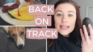 GETTING BACK ON TRACK  |  EMILY FREYBLER