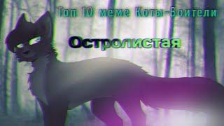 Топ 10 меме Коты-Воители: Остролистая 