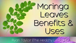 Moringa Leaves: Benefits and Uses (Drumstick Leaves)