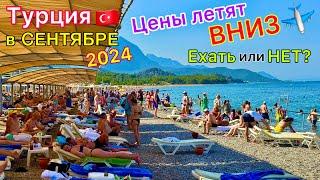 Турция в СЕНТЯБРЕ 2024 Цены ПАДАЮТ️ Все СРОЧНО летят! Плюсы и минусы ОТДЫХА в Турции ОСЕНЬЮ