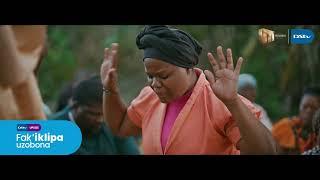 Mkhululi's miracles | Umkhokha: The Curse | S2 Ep255 | DStv