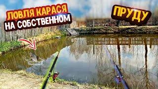 Рыбалка в СОБСТВЕННОМ ПРУДУ. КЛЮЁТ ОДНА ЗА ОДНОЙ. ИТОГИ РОЗЫГРЫША!