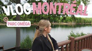 VLOG MONTRÉAL | Parc Oméga et Casino de Montréal