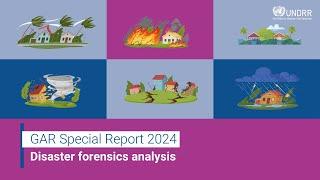 Disaster forensics analysis | GAR 2024 | UNDRR