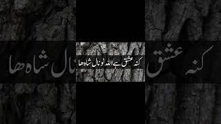 Rub aap perhavy sali ali #381 #naatsharif