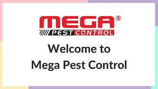 Effective Bed Bug Control in Langley Rest Easy with Mega Pest Control