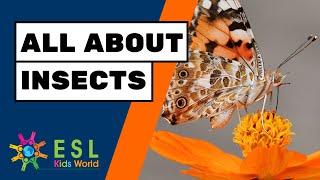 All About Insects for Children | Facts About Insects for Kids