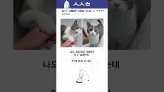 실시간 오해받은 상황들 인증 레전드 ㅋㅋㅋㅋ