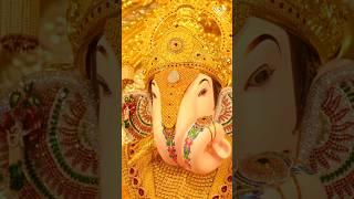 Lalbagacha Raja| #vivekoberoi #lalbaughcharaja #ganesh #ganpati #ganeshchaturthi #god #trending