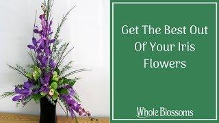 Whole Blossoms gives the best iris flower arrangements in your budget