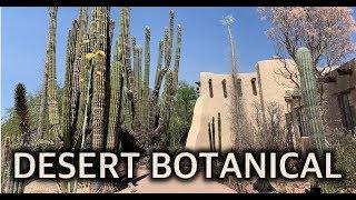 Phoenix Arizona Desert Botanical Garden