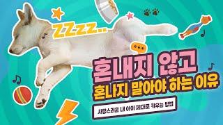 강아지는 ️사랑만 있으면 됩니다! 별이의 우개연 방문기 강아지 기르는 법#우개연 #강아지기르기 #퍼피교육