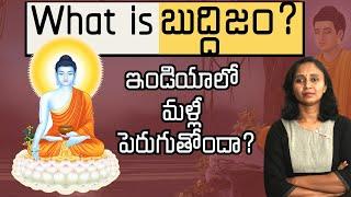 బుద్దుడి ఇండియాలో బౌద్ధమతం ఏమైపోయింది? || Thulasi Chandu #buddhapurnima