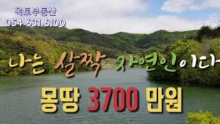 [안동 토지매매017]  안동시 녹전면 1050평 계획관리지역 / 영주옥토부동산