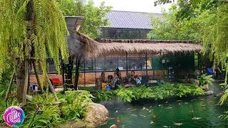 Vientiane Garden Restaurant | Restaurant in Vientiane | LAOS