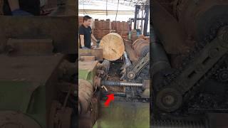 Making Plywood From Scratch  #new #satisfying #tech #technology #shorts #trending #ytshorts