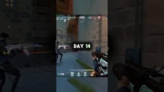 Day 14 of Grinding to Neon GOD Status