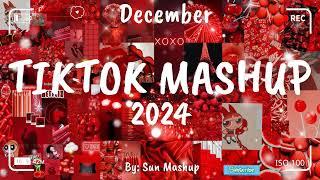 Tiktok Mashup December 2024 (Not Clean)