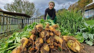 HOW A WOMAN LIVES ALONE IN THE MOUNTAINS! COOKING GIANT BEET