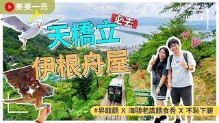 【2024日本京阪】ep.3京都兩大必去景點‼️『日本三大景』之一天橋立！連接沙洲與天的橋樑！不恥下腰才能看到的昇龍觀？造訪日本威尼斯『伊根舟屋』瘋狂蝦條餵食秀 | 美美一元 Japan Kansai