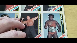 The Wrestling All-Stars magazine with all 54 Cards Hulk Hogan Ric Flair Andre the Giant Tommy Rich