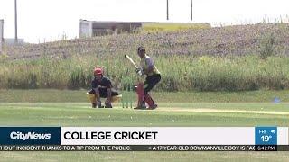 Canadian College Cricket playoffs