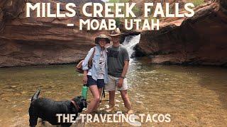 Hiking to Mills Creek Falls - The Traveling Tacos - Exploring Moab, Utah!