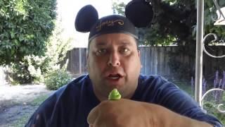 Joeys World Tour eats Green Wasabi