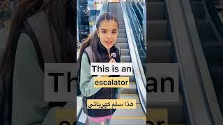 لنتعلم مع شيراز اللغه الانجليزية ‍Types of stairs in English
