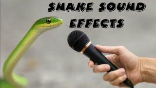 snake sound real l snake hiss sound effects all sound