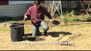 Planting a Fruit Tree w/ Greg Peterson from The Urban Farm