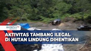 Aktivitas Tambang Ilegal di Hutan Lindung Dihentikan