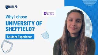 All About University of Sheffield || Student Experiences || Study in the UK