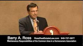 Maintenance Responsibilities of Common Area in a Homeowners Association - Series 3 of 19