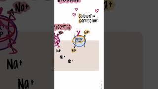 Digoxin quick review #mrcppart1 #mrcp #mrcpch #doctorquiz