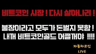 2024. 12.24 크리스마스이브! 산타랠리 없는거야!? 몇일 뒤 산타랠리 올 것이다 !