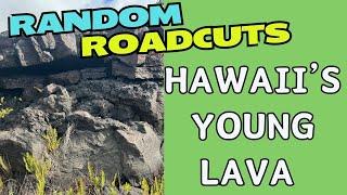 Boring Lava, You Say? NO WAY! Random Roadcuts #31