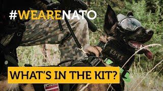 What's in the kit of a  Latvian special forces’ dog handling team?