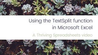 Thriving Spreadsheets - Using the TEXTSPLIT function in Microsoft Excel