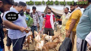 नज़ीर ख़ान ने आँधी की तरह उड़ाई  बकरियाँ #live_sauda Tungwali bakra mandi goat farming @farmingbaba