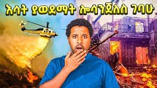 እሳት ያወደማት ሎስ አንጀለስ ገባሁ Travel | Abel Birhanu |  los Angeles