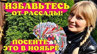 Избавьте СЕБЯ ОТ РАССАДЫ! Посейте ЭТИ ЦВЕТЫ В НОЯБРЕ!