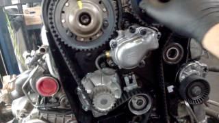 T-6 Volvo twine turbo Timing Belt