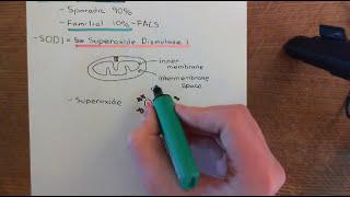 Amyotrophic Lateral Sclerosis (ALS) Part 6