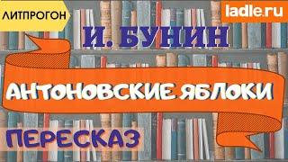 Что хотел сказать Бунин? Разбираем непонятные слова. Краткое содержание рассказа Антоновские яблоки