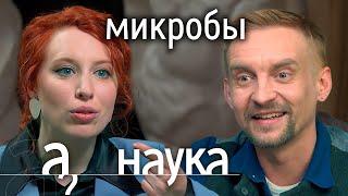 Дмитрий Алексеев: о пересадке кала, пользе грязных рук и антибиотиках в еде // А поговорить?..