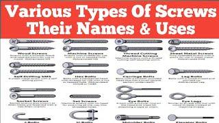 19 Types Of Screws And Their Uses |  Screw Bolts | The Genius Workers