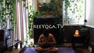 60 Minute Hatha Yoga Class for flexibility, by Stephen founder of FreeYoga.TV